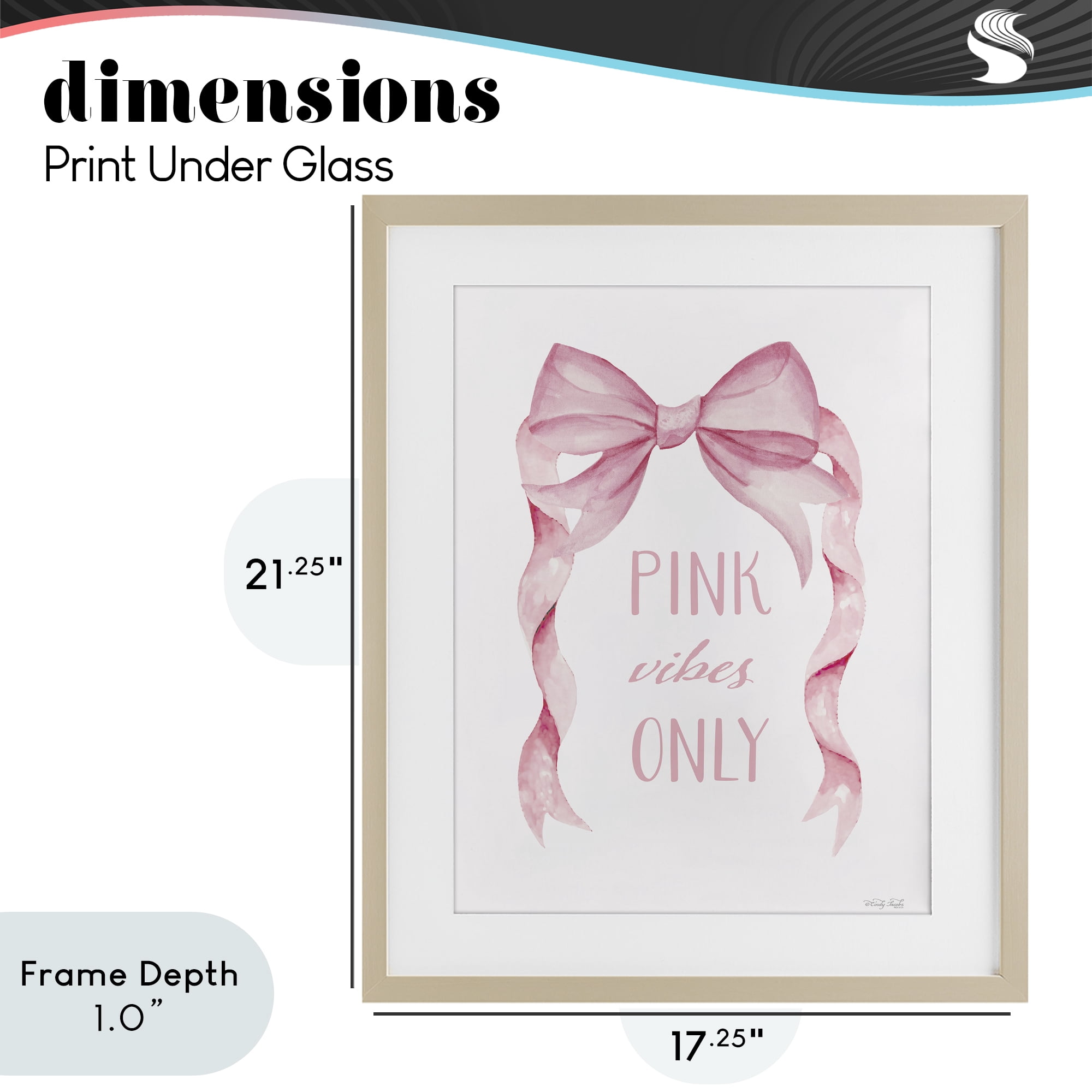Stupell Industries Feminine Pink Vibes Only Birch Framed Print Under Glass, design by Cindy Jacobs