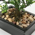 thumbnail image 3 of GnFlus 6 inch Artificial Bonsai Tree Juniper Faux Plants Indoor Small Fake Plants Decor with Ceramic Pots, 3 of 7