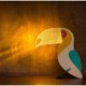 thumbnail image 1 of Creative Acrylic Night Light Wooden Animals LED Lights Living Room Bedroom Decoration Toucan Shape LED Lights, 1 of 5