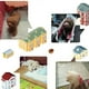 thumbnail image 3 of 10 Piezas Pañal Desechable para Perros Accesorios de Gloria  Pañal desechable para perros, 3 of 9