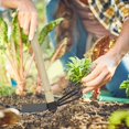 thumbnail image 3 of Small Weed Hoe Gardening Hoe Hand Rake Metal Rake Gardening Hoe Tool Garden Tool, 3 of 3