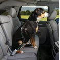thumbnail image 6 of Kurgo Direct to Seatbelt Tether for Dogs, Car Seat Belt for Pets, Adjustable Dog Safety Belt Leash, Quick & Easy Installation, Works with Any Pet Harness, (Swivel Tether, Coastal Blue), 6 of 8