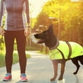 thumbnail image 6 of Light Up LED Waterproof Reflective Trim Dog Jacket with Belt & Harness Compatible Opening, 6 of 8