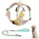 thumbnail image 2 of Arnés para el pecho para perros, cuerda de tracción, chaleco transpirable para mascotas para caminar al aire libre, control de entrenamiento para razas medianas y grandes Xemadio 2034480-10, 2 of 9