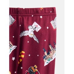 Warner Bros. Harry Potter Kids Matching Family Pajama Set photo 4