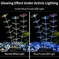 thumbnail image 3 of Striped Coral Ornamental Plants Luminous Effect Artificial Silicone Aquarium Fish Tank View - Orange, 3 of 3