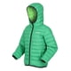thumbnail image 4 of Regatta - Chaqueta Acolchada Marizion para Niños/Niñas (Campo Verde, Verde Jasmín), 4 of 5