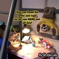 thumbnail image 5 of Intersell Ventures -Snax The Sloth - The Mimicking Slow Talking Sloth Kids Toy (Yellow Shirt) Brown, 5 of 9