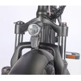 thumbnail image 3 of GoTyger 500W 4.0 Foldable 20" e-Bike, 3 of 3