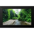 thumbnail image 2 of Grayscale 24x15 Black Modern Framed Museum Art Print Titled - Fern Valley IV, 2 of 5