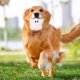 thumbnail image 3 of Juguete chirriante para perros con sonido crujiente Diseño de pan de desayuno Juguete interactivo masticable para perros y gatos Tejido suave para el aburrimiento y el juego diario, 3 of 4