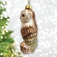 thumbnail image 3 of Classic Barn Owl Glass Christmas Ornament, 3 of 5