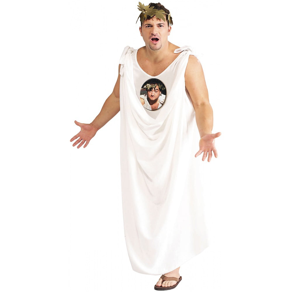 Men's Animal House Toga Costume