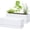 White, variant on 12 Inch Window Box Planter, Rectangle Plastic Herb Planter with Drainage Holes and Saucer, Indoor Succulent Cactus Vegetable Pot for Windowsill, Garden Balcony, Black, Set of 2