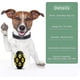 thumbnail image 2 of Juguete interactivo para perros pequeños y medianos - Juguete resistente para entrenar y limpiar los dientes - Interactivo, 2 of 5