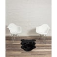thumbnail image 4 of 2' x 3' Black New Zealand Natural Sheepskin Rug, 4 of 6