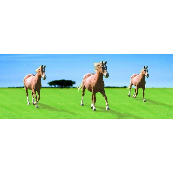 HetayC 3-D Horses Bookmark with 6" Ruler
