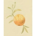 thumbnail image 2 of Caroline, Emma 15x18 White Modern Wood Framed Museum Art Print Titled - Dappled Oranges IV, 2 of 4
