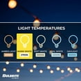 thumbnail image 5 of 14' STRING LIGHT 10 SOCKETS 16'' SPACING E12 BLACK KIT - W/1W PLASTIC LED G16 CLEAR LAMPS, 5 of 7