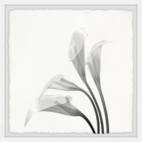 Marmont Hill Flower From the Sky Framed Painting Print