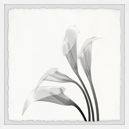 Marmont Hill Flower From the Sky Framed Painting Print