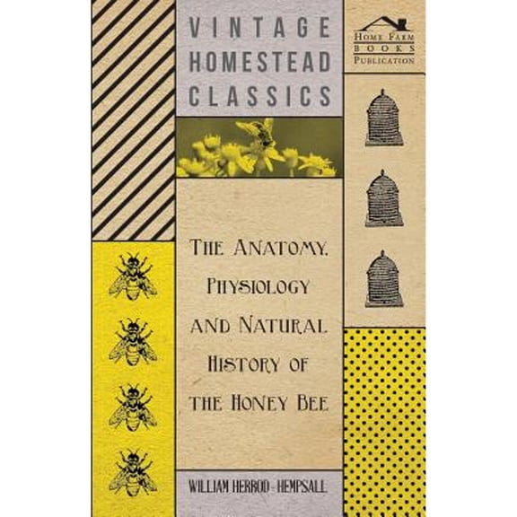 The Anatomy, Physiology and Natural History of the Honey Bee (Paperback)