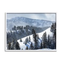 Stupell Industries Quiet Snowy Mountain Slopes Scattered Fir Trees Photograph White Framed Art Print Wall Art, Design by Steve Smith