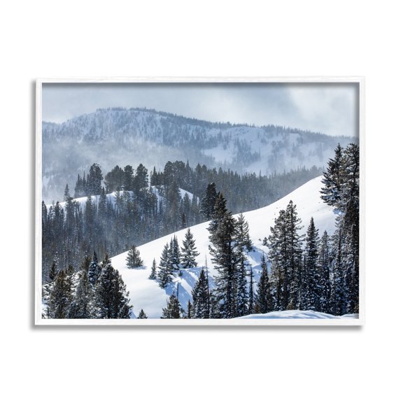 Stupell Industries Quiet Snowy Mountain Slopes Scattered Fir Trees Photograph White Framed Art Print Wall Art, Design by Steve Smith