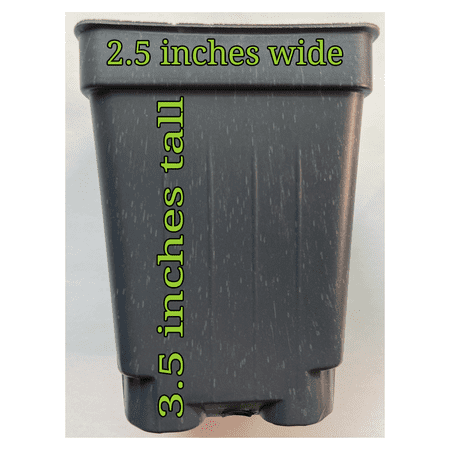 Seedling Nursery Pot Containers | 3.5 Hx2.5 W | Garden Nursery Pots for Seedling