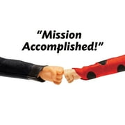 Miraculous Ladybug Mission Accomplished Ladybug &Cat Noir 2Pk