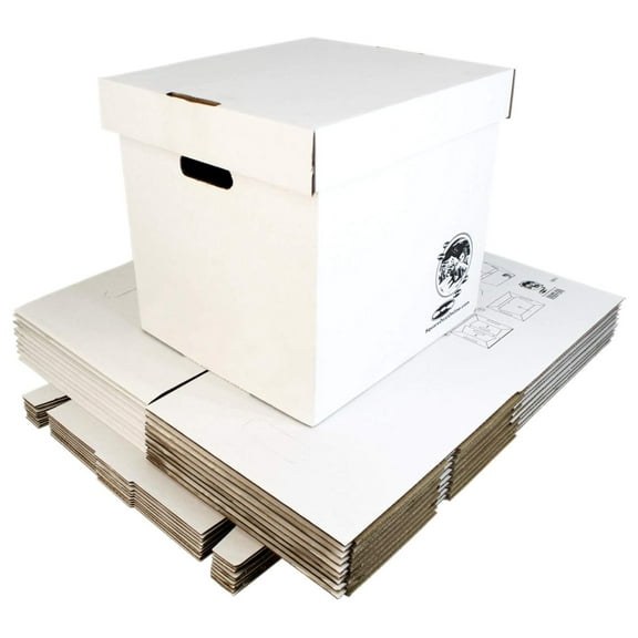 12" Vinyl Record Storage Box - Sturdy Cardboard with Removable Lid - Holds up to 90 Records or Laser Discs - Set of 10 Boxes #12BC13