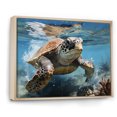 thumbnail image 2 of Designart "Coastal Scene In Watercolor" Animals Turtle Floater Framed Wall Art Prints, 2 of 5