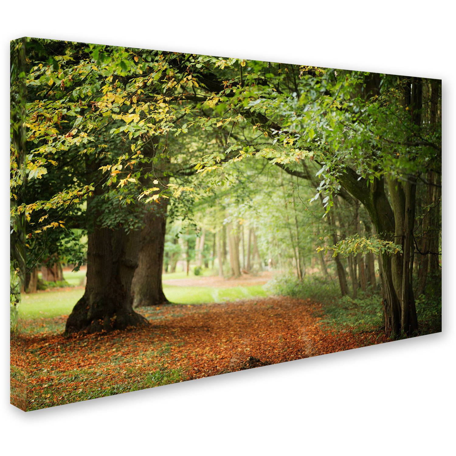 Trademark Fine Art "Through the Woods" Canvas Art by Philippe Sainte-Laudy