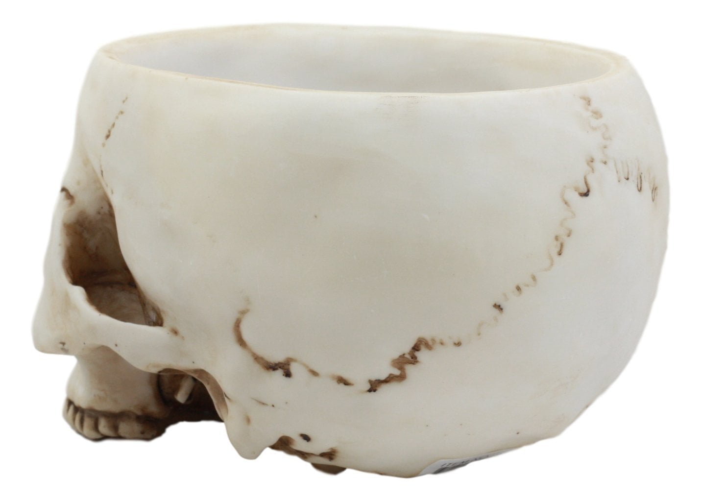 Ebros Gift Day Of The Dead Bone Skull Bowl Figurine 6.75
