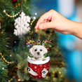 thumbnail image 1 of Christmas Dogs Ornament Christmas Acrylic Funny Dog Christmas Stocking Animal Ornament RED Schnoodle In Snow Pocket Christmas Ornament Christmas Decoration, 1 of 5