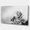 thumbnail image 2 of Rose Noire et Blanche au Printemps. - Impression sur Toile Florale, 2 of 4