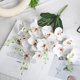 thumbnail image 4 of Simulación de flores, 5 tenedores, mariposas, orquídea, película, mango pequeño, luces de flores, arreglo floral de lujo para el hogar, sala de estar, flores falsas, decoraciones para bodas, fiestas,, 4 of 6