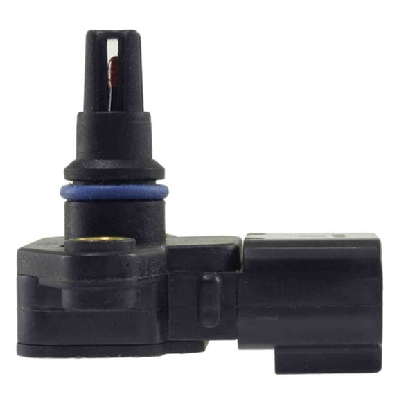 Man. Absolute Press. Sens