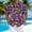 #056-Multicolor, variant on Handshe Men's Shirt, Carnival Print with Button-Down Collar for Casual and Daily Wear