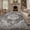Oriental-Black Gray, variant on FEELHOME 5'x7' Area Rug Washable Carpet Soft Distressed Non Slip Vintage Rugs for Living Room Bedroom Kitchen Taupe