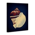 thumbnail image 3 of Stupell Industries Coastal Fiber Conch on Blue Canvas Art, 36 x 48, by Graffitee Studios, 3 of 8