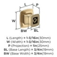 thumbnail image 4 of Amerock Garfield 1-3/16 inch (30mm) Length Champagne Bronze Cabinet Knob, 25 Pack, 4 of 4