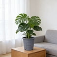 thumbnail image 5 of Diceymbol Air Pruning Flower Pot 8 Inch Thick Plastic Breathable Planter for Indoor Outdoor Patio Balcony Plants, 5 of 7