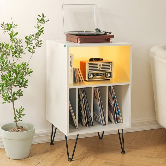 Vinyl Record Storage