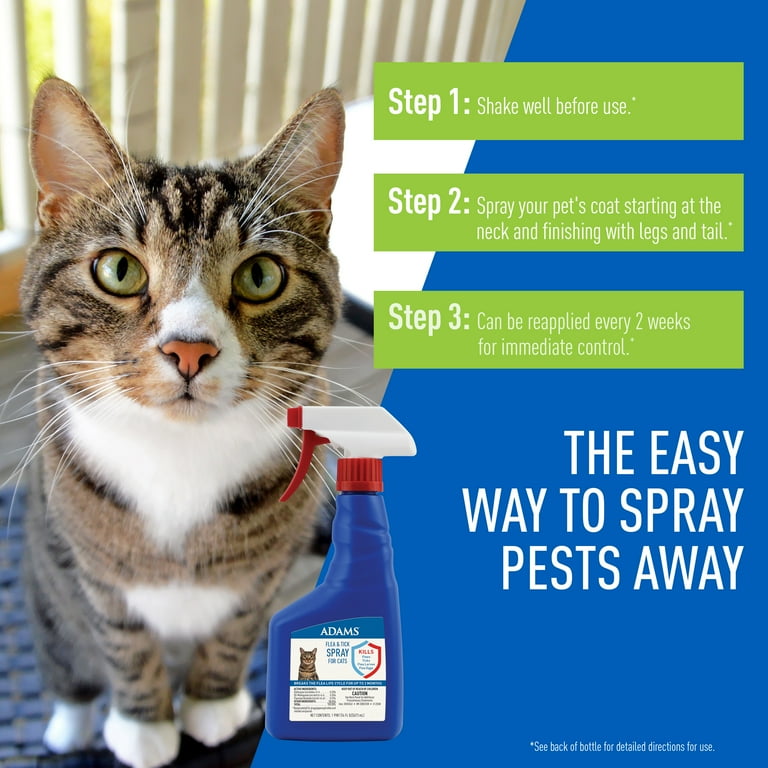 Flea spray best sale for cats walmart