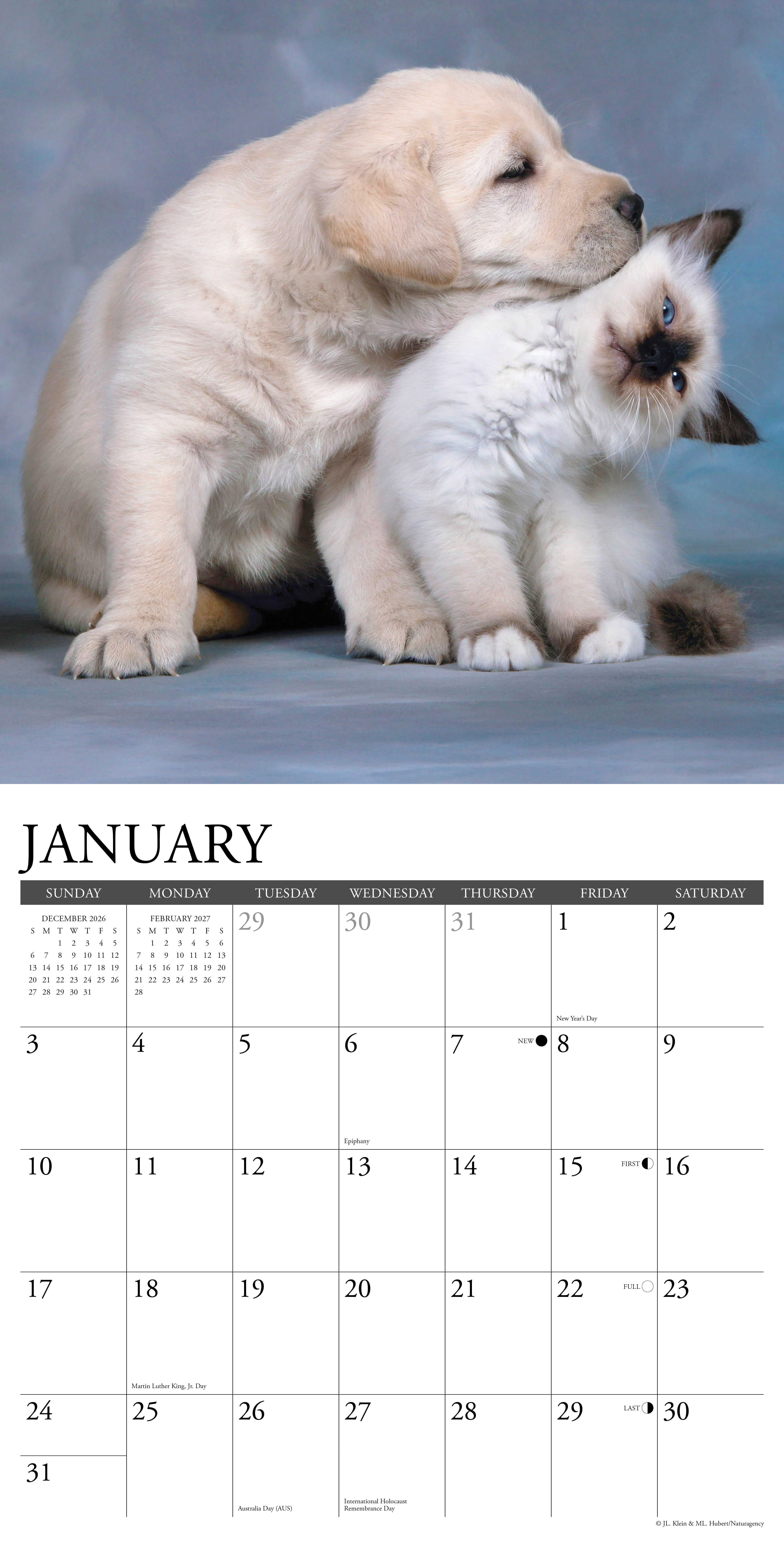 Willow Creek Press, Kittens & Puppies 2027 Wall Calendar