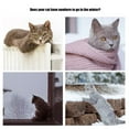 thumbnail image 3 of POINTERTECK Cat Pet Animal Hanging Luxury Radiator Bed Warm Fleece Basket Cradle Hammock Metal Iron Frame, 3 of 8