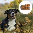 thumbnail image 3 of Leather dog collars in a variety of sizes, 3 of 5
