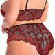 thumbnail image 5 of Lencería sexy, sujetador transparente de tres puntos de encaje, ropa interior, traje de apoyo, entrega, 5 of 6