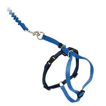 PetSafe Come with Me Kitty Harness and Bungee Leash – Adjustable, Lightweight Harness – Large, Royal Blue